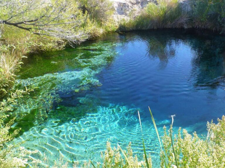 Visiting Ash Meadows National Wildlife Refuge, Nevada