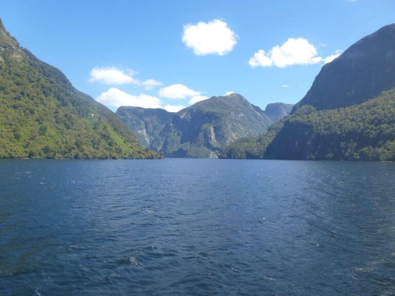 A Guide to the Doubtful Sound Overnight Cruise