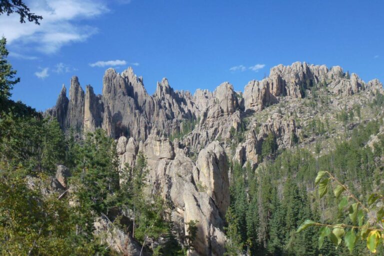Scenic view from Needles Highway in South Dakota, showcasing dramatic granite spires and rugged rock formations rising sharply above a forest of pine trees. The jagged peaks stand out against a bright blue sky with a few scattered clouds, creating a stunning natural landscape typical of the Black Hills region.