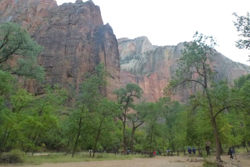 People walking amongst the trees with the cliffs of the canyon in the background