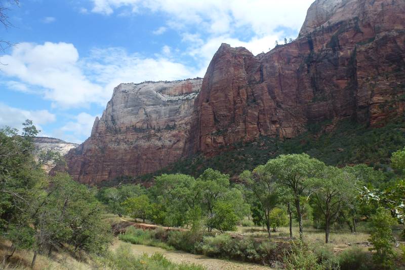 view of a river, with lots of trees on the riverbank and the cliffs of the canyon in the background