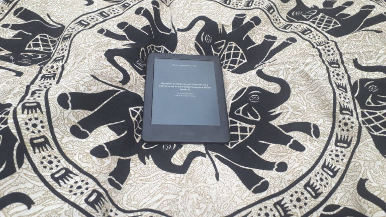 Should You Travel with a Kindle? Pros and Cons of Kindles Explained
