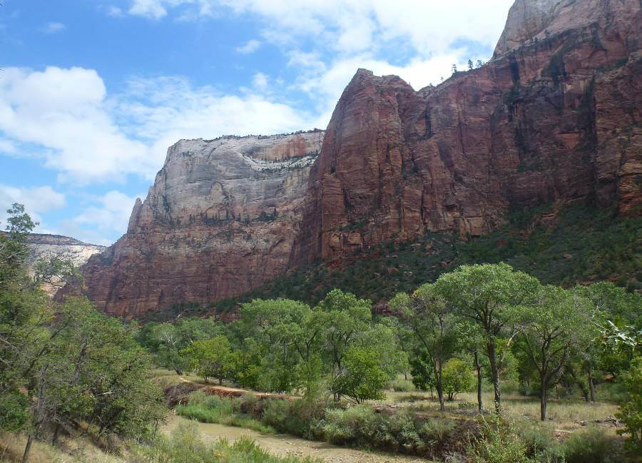 A scenic view along the Riverside Walk in Zion National Park, showcasing towering red and white sandstone cliffs rising steeply against a partly cloudy blue sky. In the foreground, a lush green forest with cottonwood trees lines a shallow, winding river, creating a tranquil contrast to the rugged canyon walls.