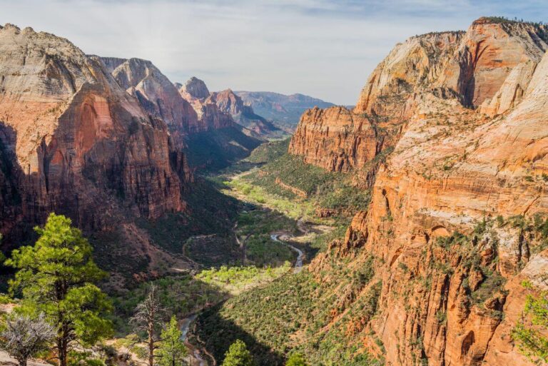 A breathtaking view of Zion National Park from a high vantage point, showcasing towering red and orange sandstone cliffs surrounding a lush green valley. The Virgin River winds through the canyon floor below, and scattered pine trees add contrast to the arid landscape. This iconic scene captures the natural beauty and dramatic geology that make Zion a must-visit destination, perfect for a one-day adventure in the park.
