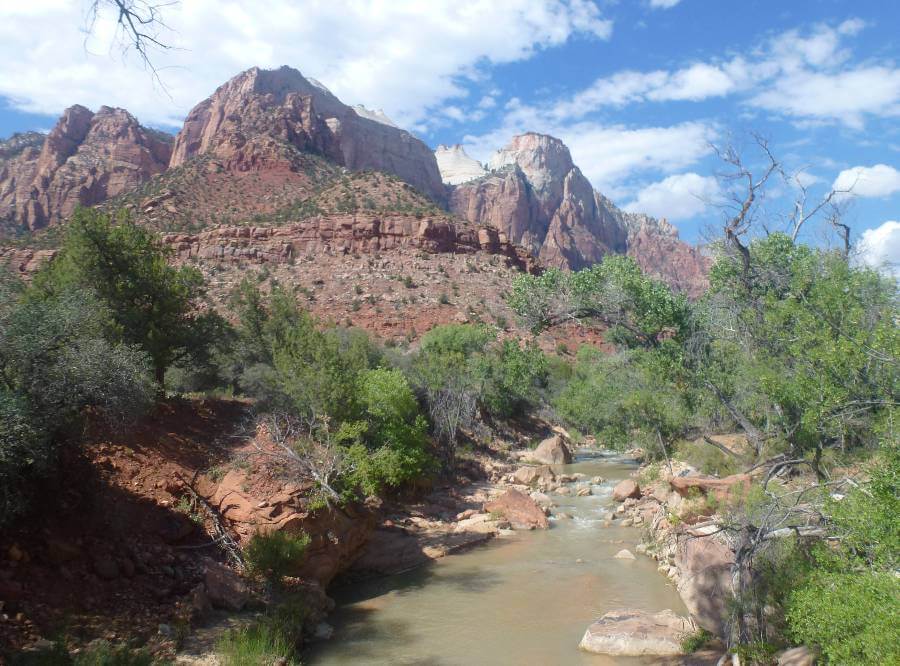 A scenic view in Zion National Park featuring a muddy river winding through a rocky, red-soiled canyon surrounded by dense green vegetation. Towering red and white sandstone cliffs rise dramatically in the background beneath a partly cloudy blue sky. The contrast between the lush greenery and rugged desert landscape highlights the park’s diverse natural beauty.