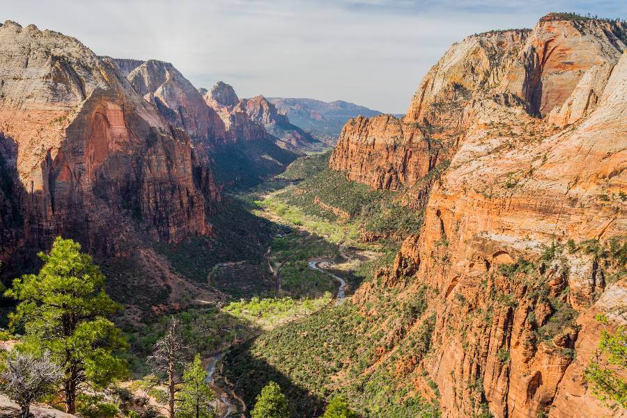 the canyon from above, showing the orange steep cliffs of the canyon and the river winding through it, with trees and grass on the canyon floor