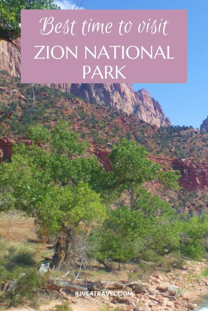 a pinterest pin about the best time to visit Zion National Park, showing the canyon floors, with trees on it and the cliffs at the side
