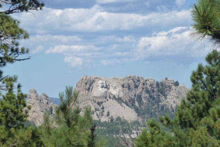 Distant view of Mount Rushmore in South Dakota, with the carved faces of four U.S. presidents, George Washington, Thomas Jefferson, Theodore Roosevelt, and Abraham Lincoln, set against rugged granite cliffs. The monument is framed by green pine trees in the foreground under a bright blue sky with scattered white clouds.