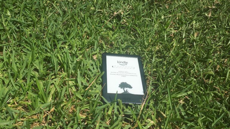 a kindle laid on grass