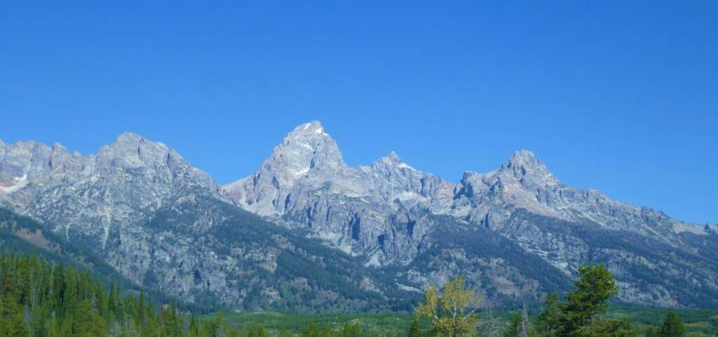 in the foreground trees and in the distance a mountain range with some trees on the slopes