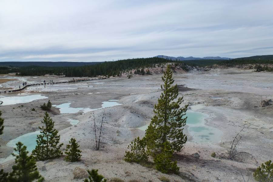 white barren land with a few trees and a pathway going through it, there are a few blue pools of water and steam coming up from the ground and in the distance the land is covered in trees