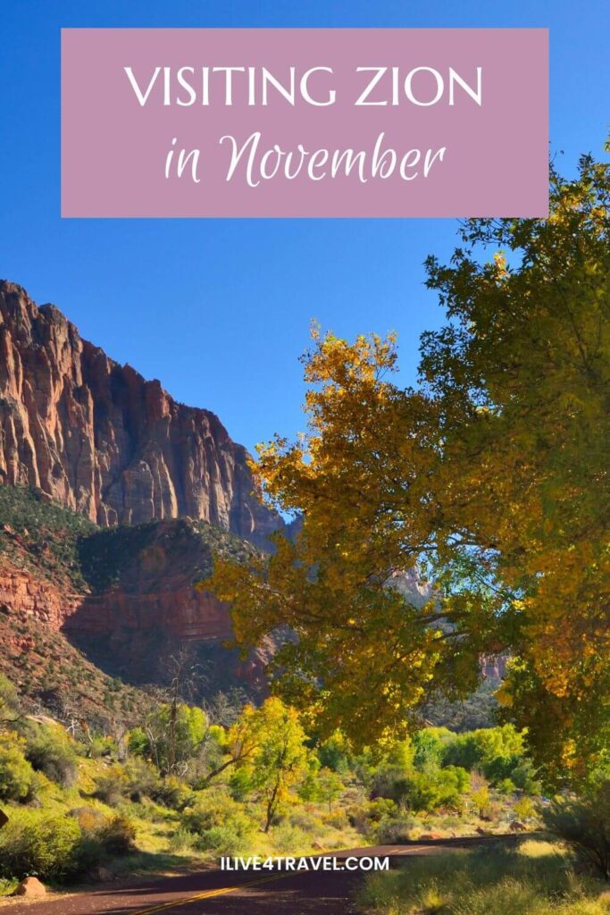 Pinterest pin showing a scenic autumn view in Zion National Park with tall red sandstone cliffs, golden-yellow trees, and a winding road leading through the valley under a bright blue sky. Text on the pin reads “Visiting Zion in November"