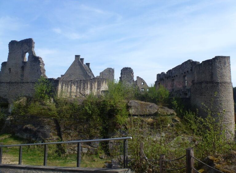 the ruins of a castle surrounded by trees and grass