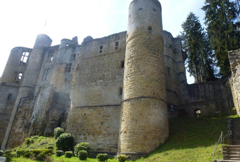 the walls of a castle in ruins with grass and trees around the outside of it