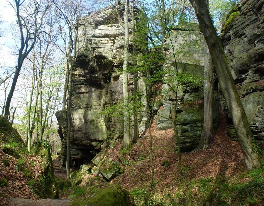 a path through a wood with huge rocks in amongst the trees
