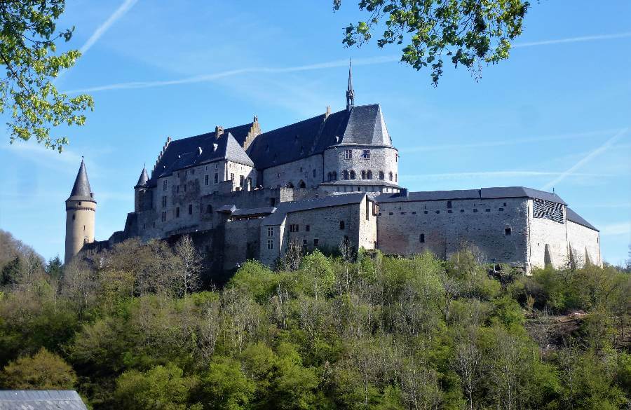 a castle with a roof that has been restored, perched on the top of a hill with the slopes covered in trees