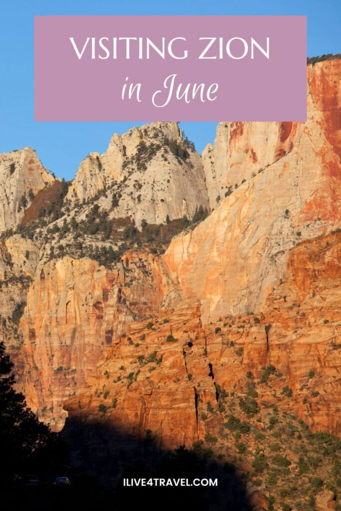 a pinterest pin about visiting Zion in June showing the orange grey steep sides of the mountains with a few trees and bushes on the sides of the mountain