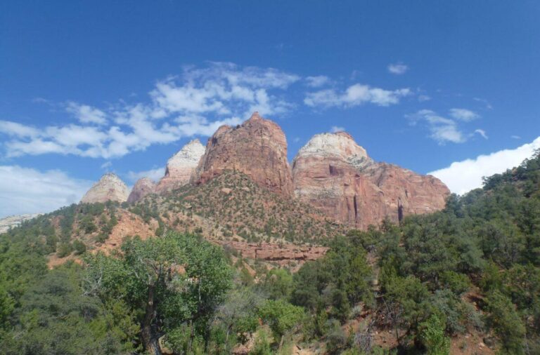 steep cliffs of the side of the valley in the distance with trees covering the valley floor
