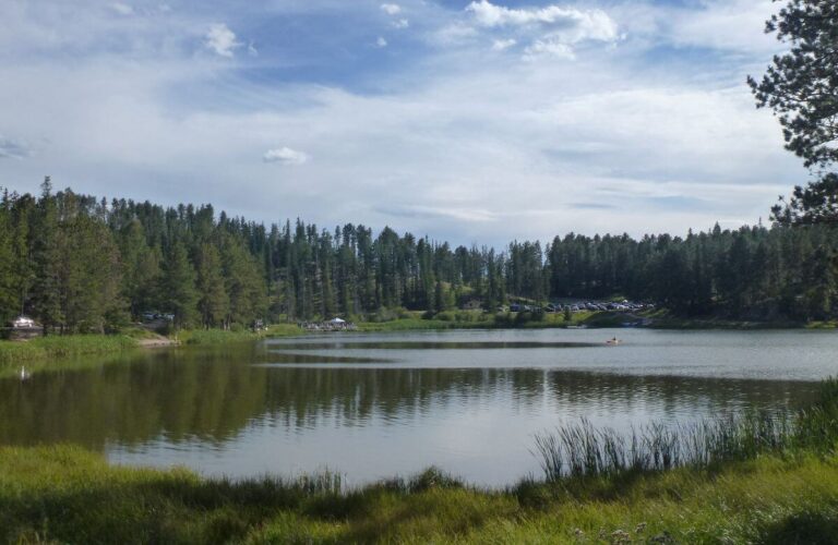 Lake in South Dakota surrounded by pine trees, with calm water reflecting the forest and sky. Grassy shoreline frames the foreground, while parked cars are visible along the distant treeline, suggesting a scenic outdoor recreation area.