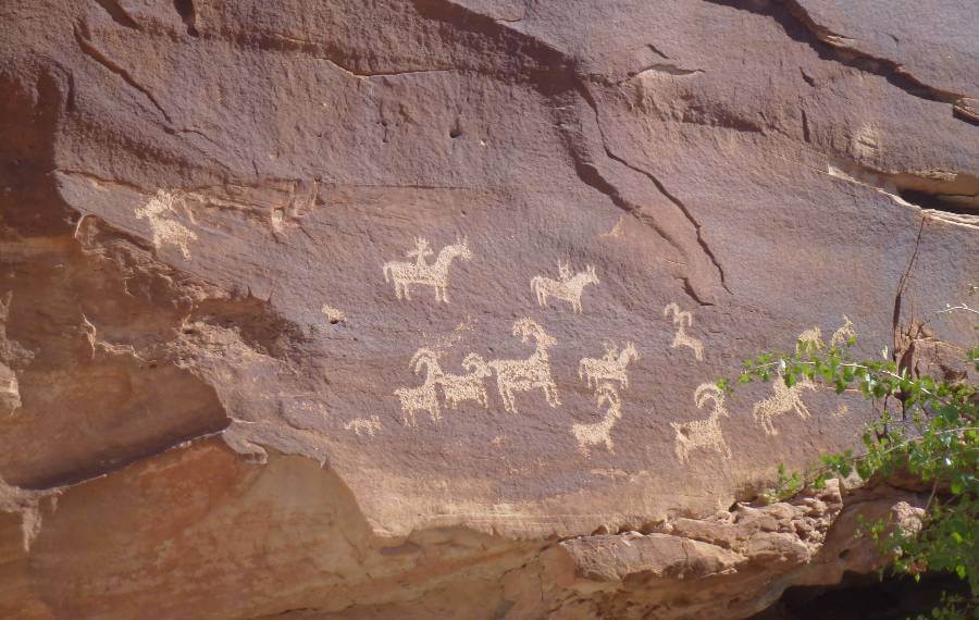 a rock wall with images of an animal with horns with people riding them