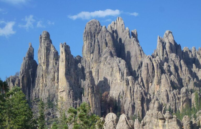 a large area of rock that has been carved over millions of year to have spikes with trees at the bottom of these