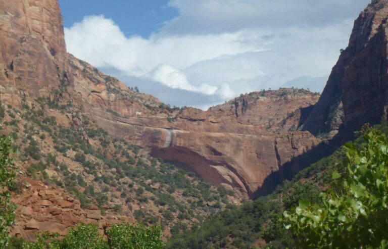 an orange canyon wall in the distance with trees and bushes on the slopes down towards the canyon floor