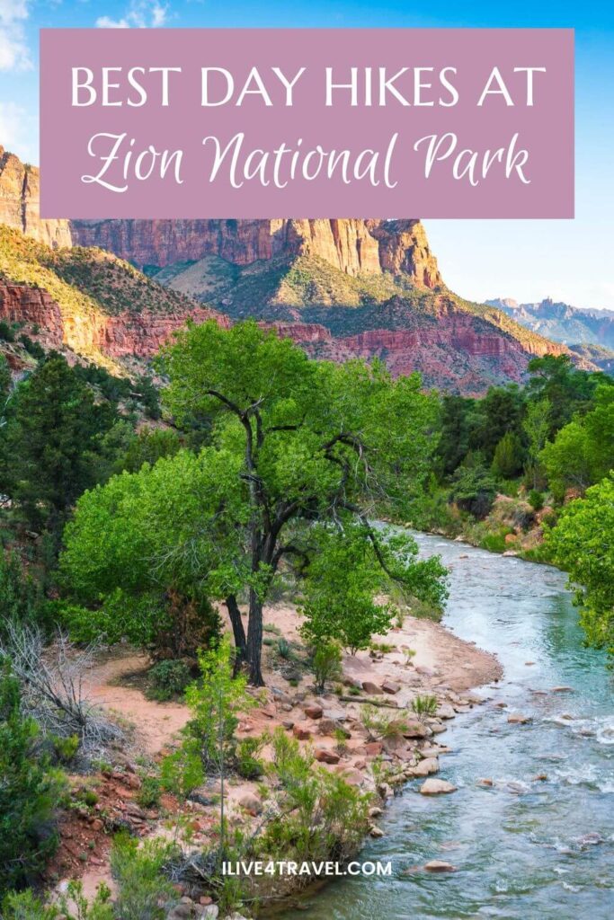 a pinterest pin about the best day hikes at zion national park showing a river running through a canyon with the orange canyon sides in the distance and trees and bushes next to the river