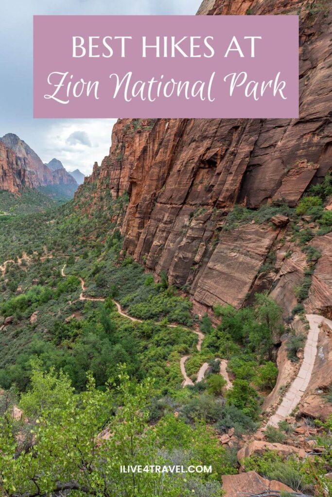 a pinterest pin about the Best Zion National Park Hikes showing a path zig zagging through a canyon floor and up the side of the canyon, there are trees all over the canyon floor and up the sides of it