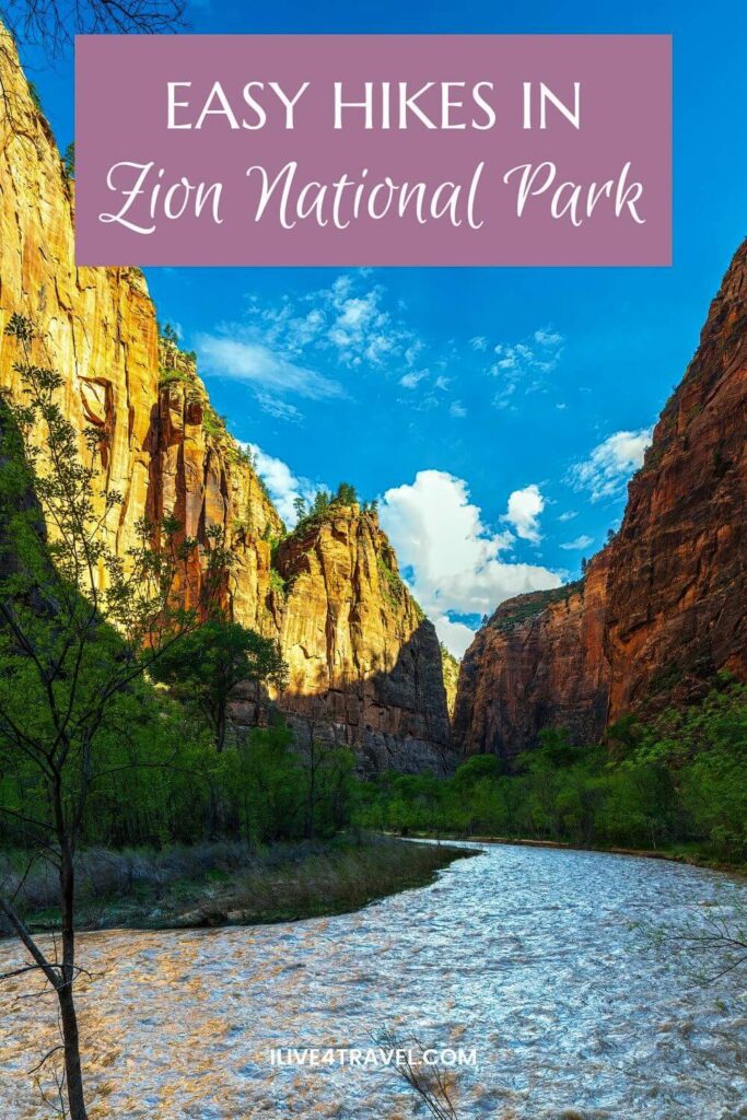 a pinterest pin about easy hikes in Zion National Park showing a river running through a canyon with trees on either side and the sides of the canyon are orange