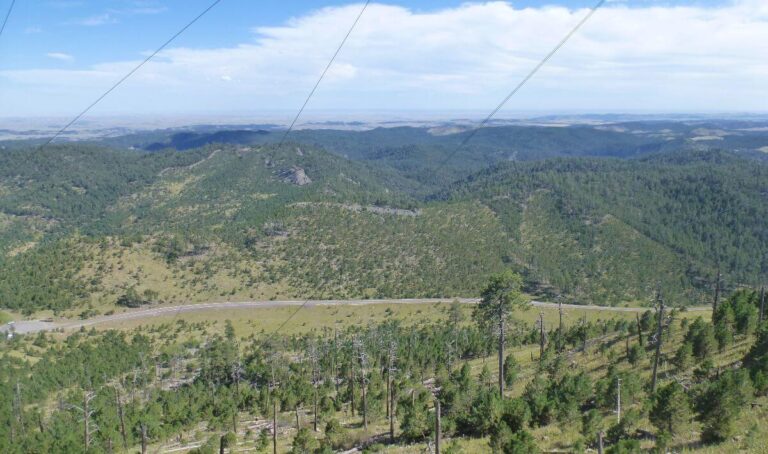 A wide view of rolling green hills and forested mountains in the Black Hills of South Dakota, with a winding road cutting through the landscape. The scene includes dense pine trees, patches of open grassland, and a hazy horizon stretching into the distance under a blue sky with wispy clouds.