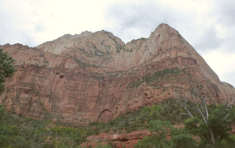 orange and white cliffs of a canyon with bushes growing down the slope of it