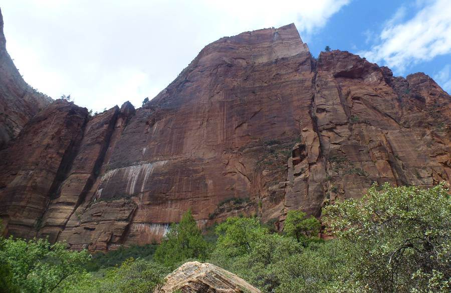 the steep orange cliffs of a canyon with trees and bushes below it