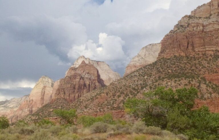 the orange and white cliffs of the canyon with bushes and trees on the canyon floor and slopes