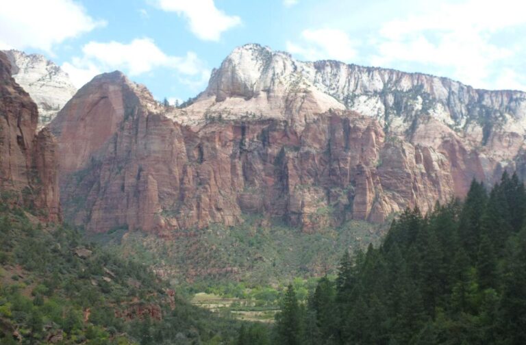 View of towering red and cream-colored sandstone cliffs rising above the green valley in Zion National Park. Pine trees cover the hillside in the foreground, while the rugged canyon walls stretch across the background beneath a bright sky with scattered clouds.