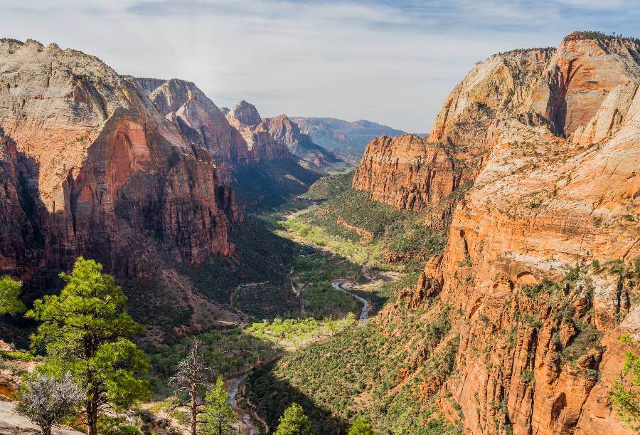 Panoramic view from a high overlook in Zion National Park showing massive red and cream sandstone cliffs rising on both sides of a wide canyon. Far below, the winding Virgin River snakes through the green valley floor, surrounded by trees and vegetation, while layered mountains stretch into the distance under a partly clear sky.