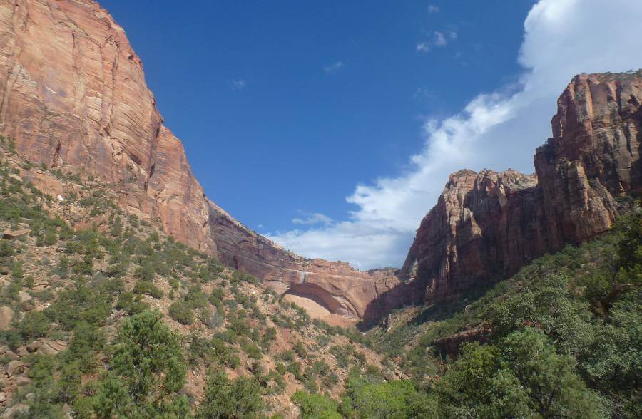 View of a large natural sandstone arch set high in the red rock cliffs of Zion National Park, with steep canyon walls rising on both sides and green shrubs and trees covering the valley below under a bright blue sky with scattered clouds.