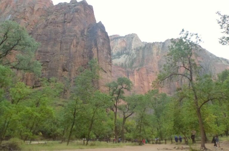 Visitors walking along a path through a green valley in Zion National Park, surrounded by tall trees and towering red and white sandstone cliffs rising high above the canyon floor under an overcast sky.