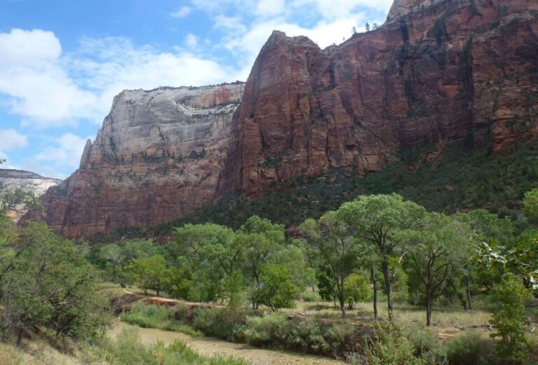 Green trees and desert vegetation lining a shallow river in the valley below towering red and white sandstone cliffs in Zion National Park under a partly cloudy blue sky.